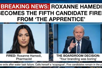 Roxanne Hamedi in the boardroom on BBC's The Apprentice.