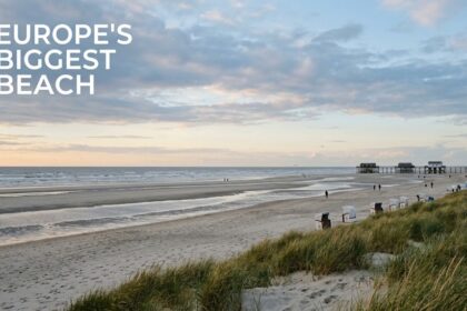 An aerial view of the vast Kniepsand sandbank seamlessly merging into the dune landscape of Amrum, Germany, with small figures walking across the expansive white sand toward the North Sea.