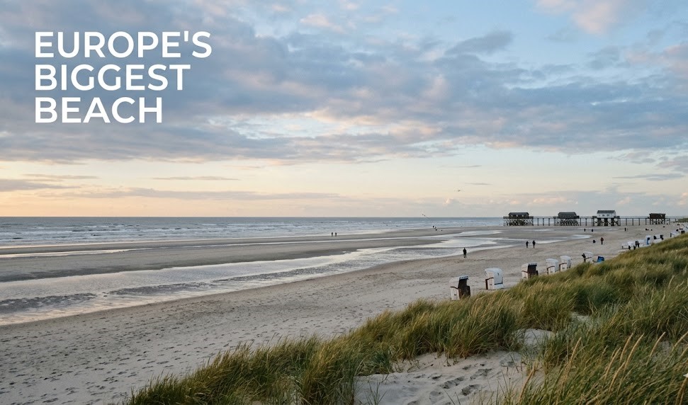 An aerial view of the vast Kniepsand sandbank seamlessly merging into the dune landscape of Amrum, Germany, with small figures walking across the expansive white sand toward the North Sea.