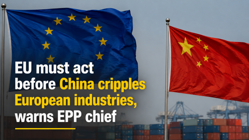 A split-screen composition showing an industrial European manufacturing hub on one side and a modern Chinese logistics port on the other.